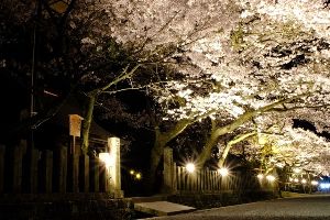 写真提供：阿蘇市