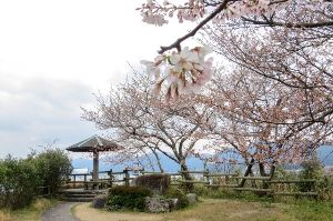 （一社）長門市観光コンベンション協会