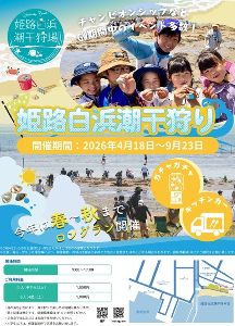 姫路白浜潮干狩り画像