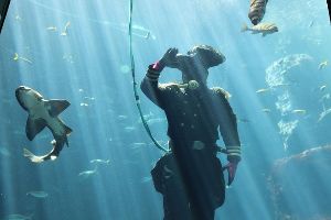 下田海中水族館