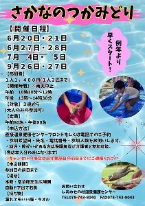 しあわせの村　さかなのつかみどり画像