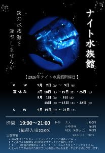 ナイト水族館