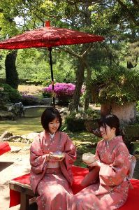 萩・大茶会