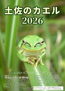 企画展「土佐のカエル2026」