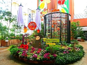 季節展示「秋の庭」ハロウィン