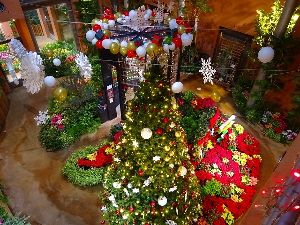 季節展示「冬の庭」クリスマス