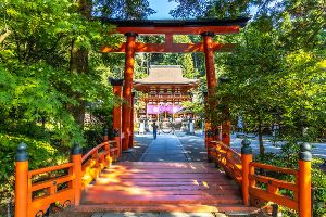 丹生都比売神社 夏詣