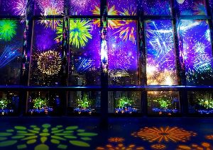 東京タワーシティライトファンタジア ～Summer landscape 2026～
