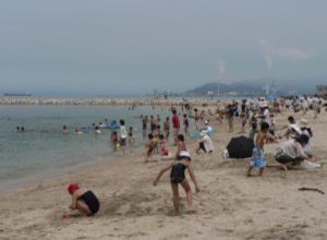 【海水浴】寒川豊岡海浜公園ふれあいビーチ 【海水浴】寒川豊岡海浜公園ふれあいビーチ