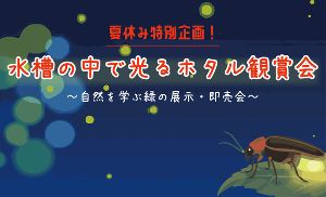 ふなばしアンデルセン公園「水槽の中で光るホタル観賞会」