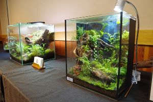 ふなばしアンデルセン公園「室内で楽しめるインドアガーデン」