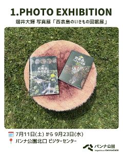 堀井大輝 写真展「西表島のいきもの図鑑展」画像