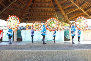 第26回 因幡の傘踊りの祭典