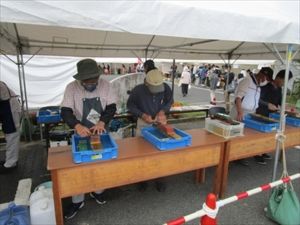 やすぎ刃物まつり やすぎ刃物まつり