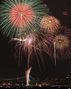 東京湾大華火祭