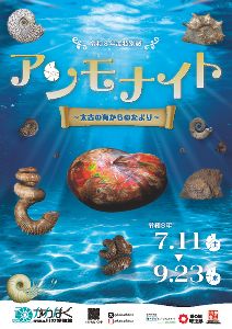 特別展「アンモナイト～太古の海からのたより～」