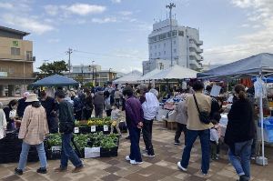 弁慶市（10月）画像