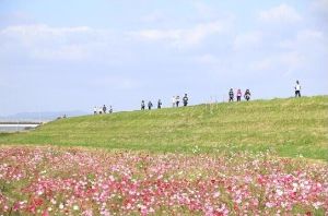 菊池市役所観光振興課