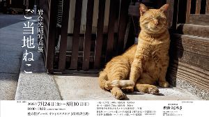 岩合光昭写真展「ご当地ねこ」