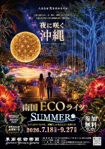 南国ECOライツSUMMER画像