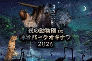 夜の動物園inネオパークオキナワ2026 夜の動物園inネオパークオキナワ2026
