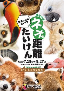想像以上に近い!?夏休みはネオ距離体験! 想像以上に近い!?夏休みはネオ距離体験!