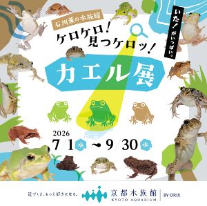 石川薫の水族館~ケロケロ!見つケロッ!カエル展~ 石川薫の水族館~ケロケロ!見つケロッ!カエル展~