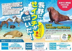 夏の特別展「長野にセイウチがいた！ ―オントケトゥスからたどる鰭脚類の進化―」