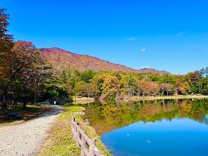 【紅葉・見ごろ】古代の丘