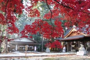 【紅葉・見ごろ】總宮神社 【紅葉・見ごろ】總宮神社