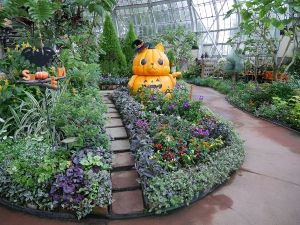 花の展示温室 ハロウィンガーデン 花の展示温室 ハロウィンガーデン