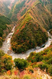 【紅葉・見ごろ】祖谷渓 【紅葉・見ごろ】祖谷渓