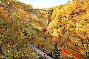 【紅葉・見ごろ】鳴子峡
