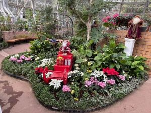 花の展示温室 クリスマスガーデン 花の展示温室 クリスマスガーデン