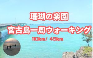 珊瑚の楽園 宮古島一周ウォーキング画像