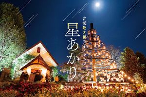 星あかり 星あかり