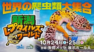 新潟レプタイルズワールド 新潟レプタイルズワールド