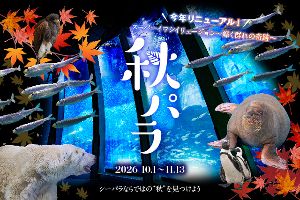 秋パラ！