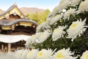 弥彦菊まつり 弥彦菊まつり