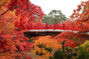 【紅葉・見ごろ】弥彦公園 【紅葉・見ごろ】弥彦公園