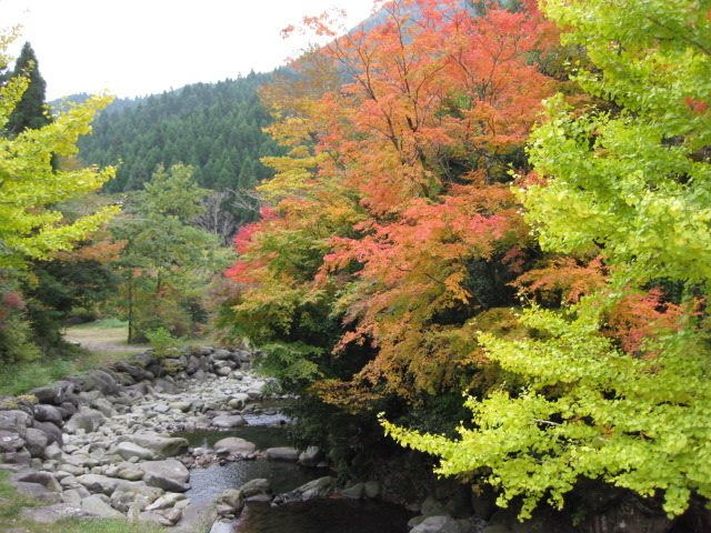 【紅葉・見ごろ】上津江フィッシングパーク