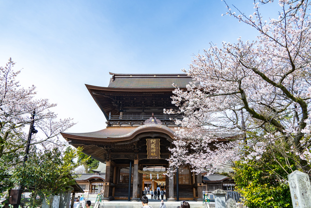 初詣　阿蘇神社