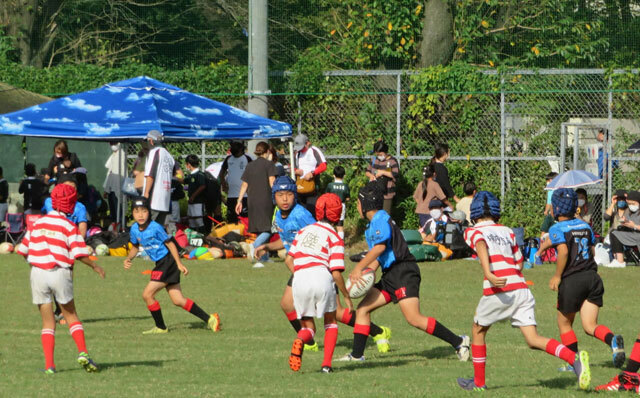 明治大学ラグビー部が直接指導してくれる!