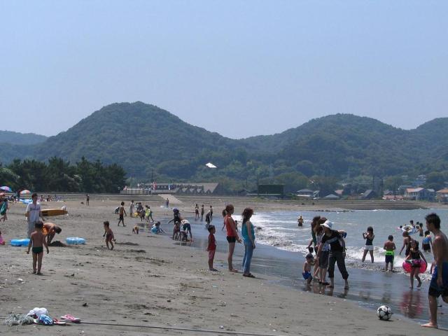 写真