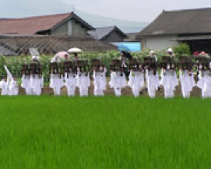 国造神社　おんだ祭り