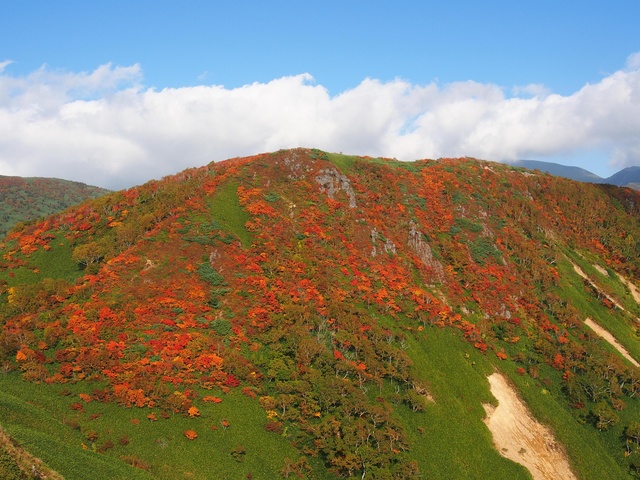 【紅葉・見ごろ】網張温泉周辺