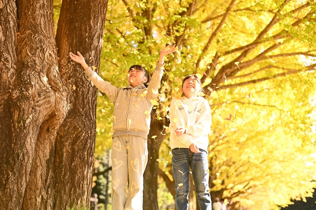 写真