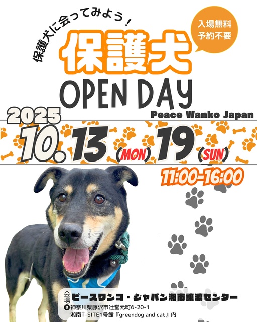 保護犬OPEN DAY