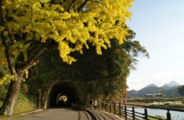 【紅葉・見ごろ】競秀峰・青の洞門