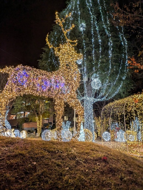 MISAWA PHANTASIA 2025